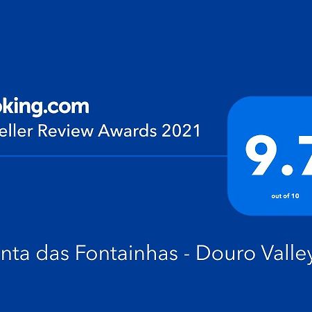 הוילה טבואקו Quinta Das Fontainhas - Douro Valley מראה חיצוני תמונה