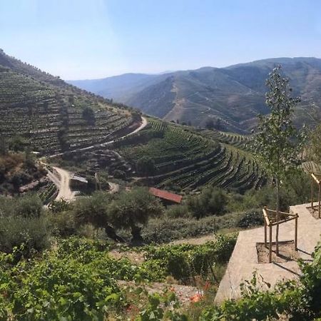 הוילה טבואקו Quinta Das Fontainhas - Douro Valley מראה חיצוני תמונה