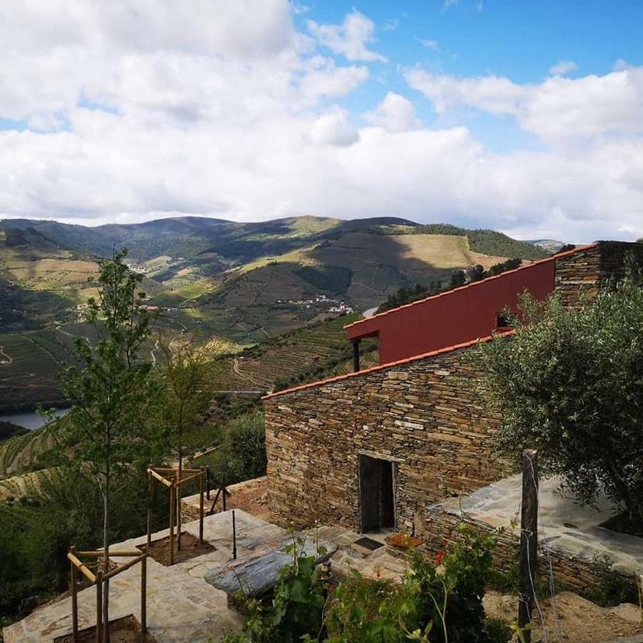הוילה טבואקו Quinta Das Fontainhas - Douro Valley מראה חיצוני תמונה