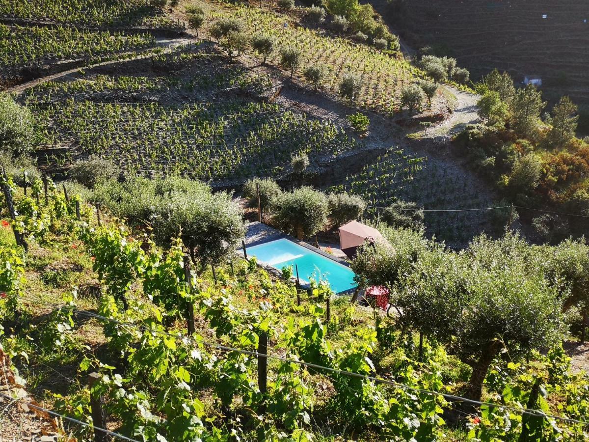 הוילה טבואקו Quinta Das Fontainhas - Douro Valley מראה חיצוני תמונה