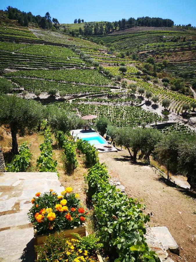 הוילה טבואקו Quinta Das Fontainhas - Douro Valley מראה חיצוני תמונה