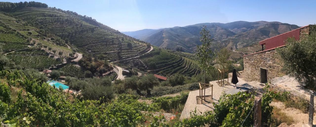 הוילה טבואקו Quinta Das Fontainhas - Douro Valley מראה חיצוני תמונה