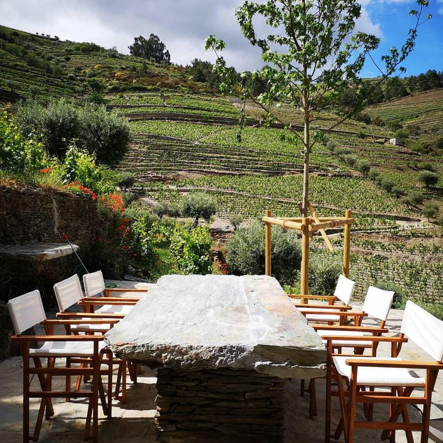 הוילה טבואקו Quinta Das Fontainhas - Douro Valley מראה חיצוני תמונה