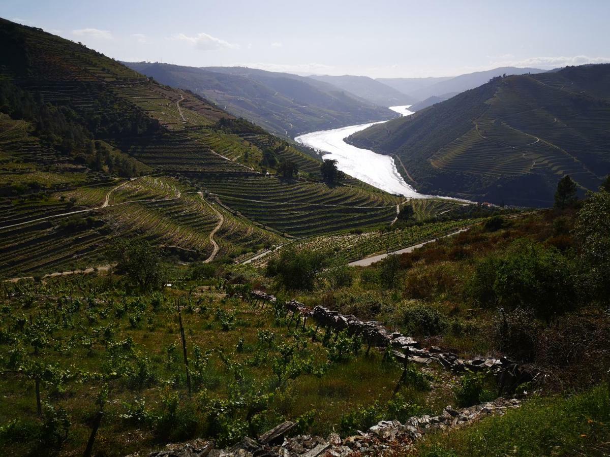 הוילה טבואקו Quinta Das Fontainhas - Douro Valley מראה חיצוני תמונה